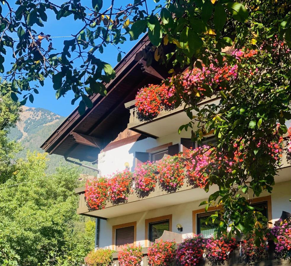 Tannerhof Bed & Breakfast Caines Extérieur photo