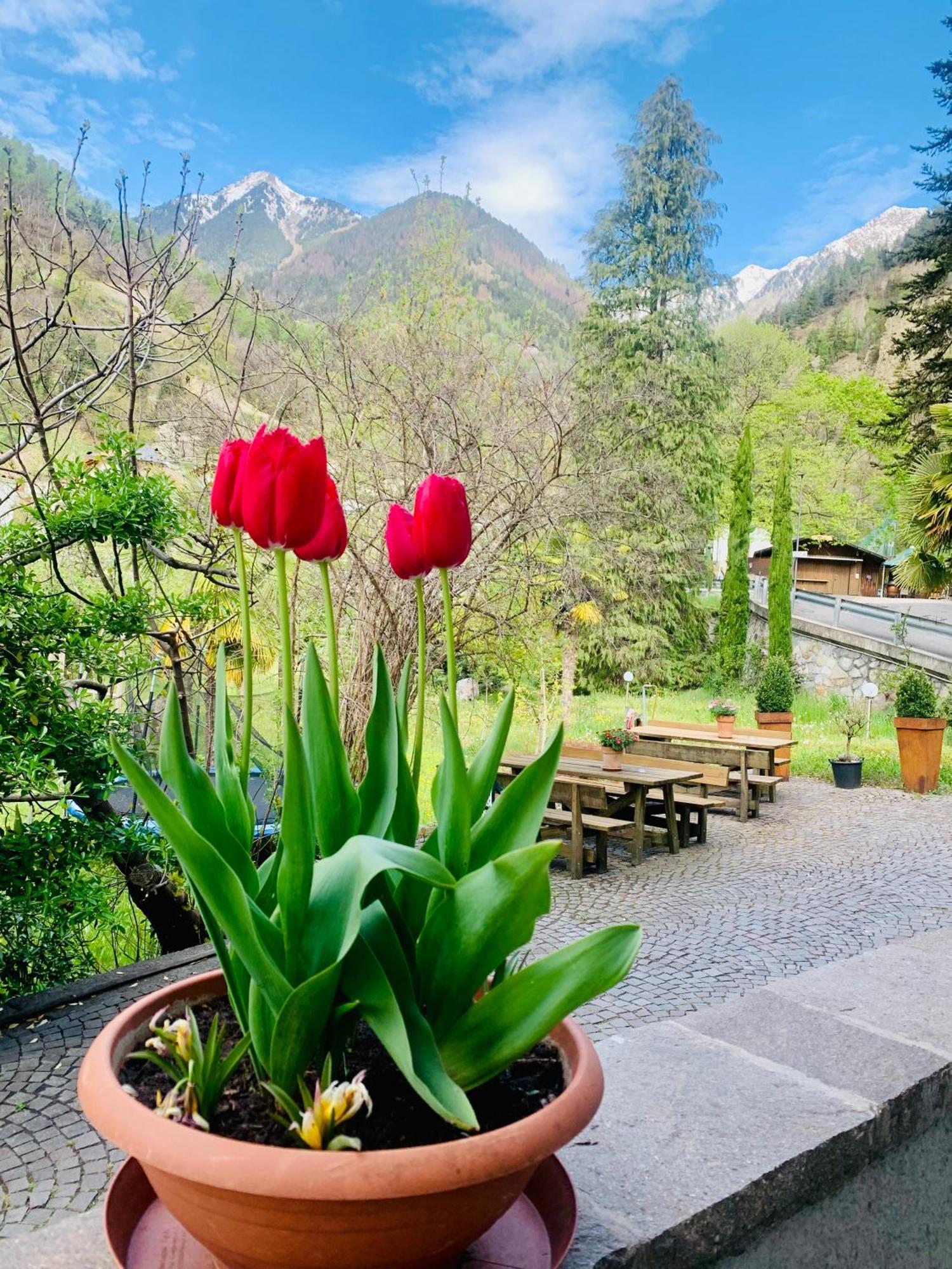 Tannerhof Bed & Breakfast Caines Extérieur photo