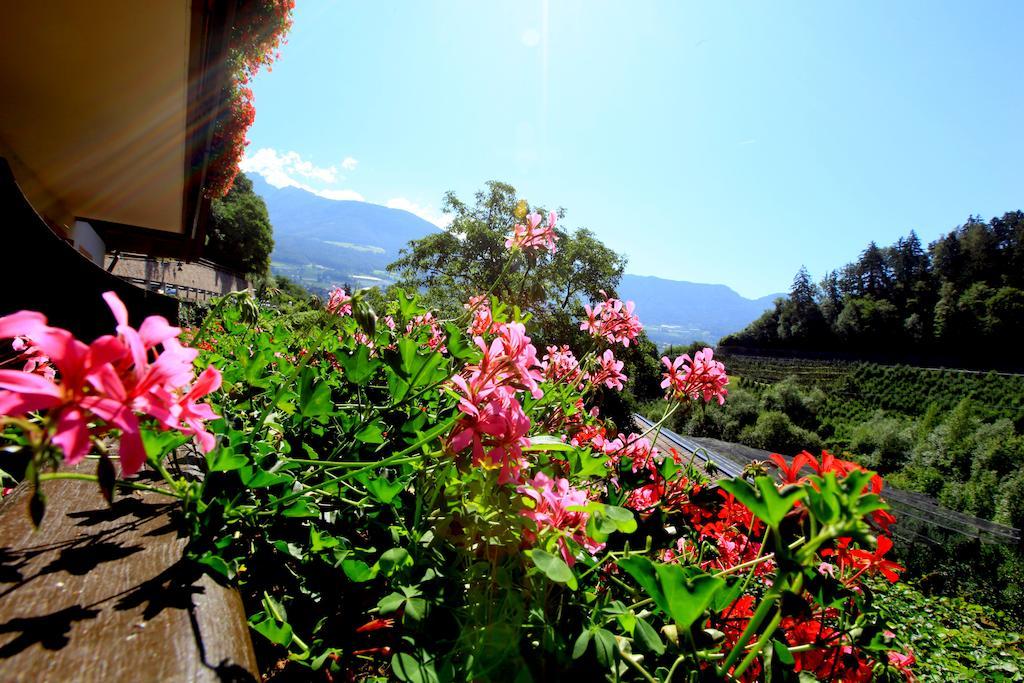Tannerhof Bed & Breakfast Caines Chambre photo
